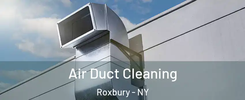 Air Duct Cleaning Roxbury - NY