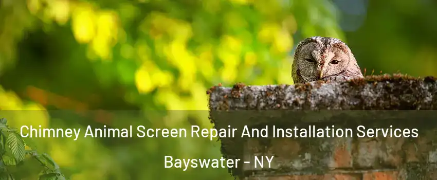 Chimney Animal Screen Repair And Installation Services Bayswater - NY