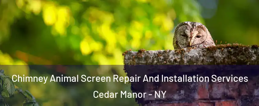 Chimney Animal Screen Repair And Installation Services Cedar Manor - NY