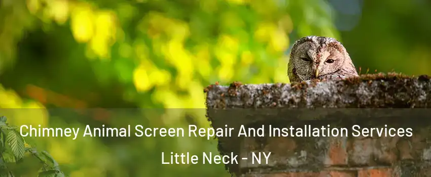 Chimney Animal Screen Repair And Installation Services Little Neck - NY