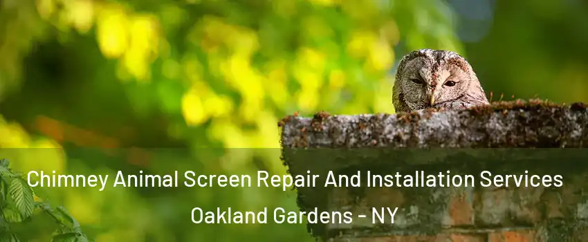 Chimney Animal Screen Repair And Installation Services Oakland Gardens - NY