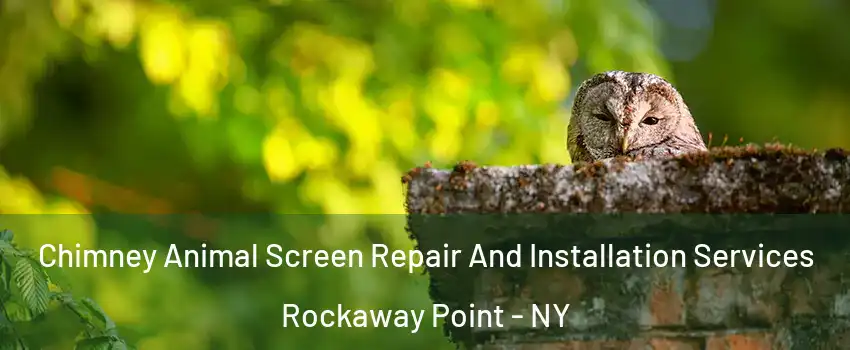 Chimney Animal Screen Repair And Installation Services Rockaway Point - NY