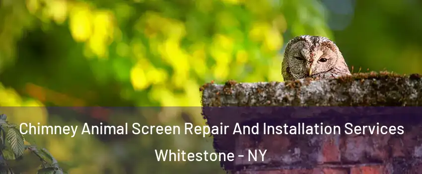 Chimney Animal Screen Repair And Installation Services Whitestone - NY