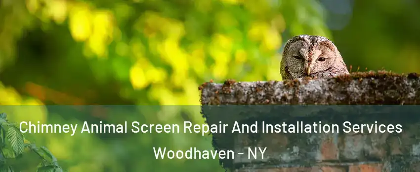 Chimney Animal Screen Repair And Installation Services Woodhaven - NY