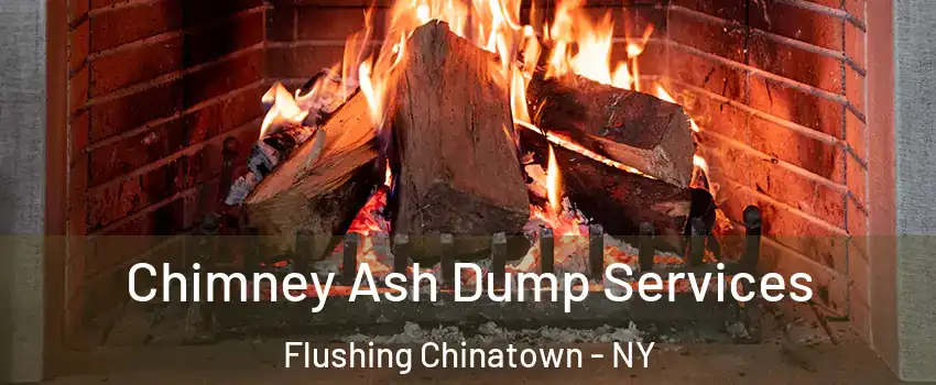 Chimney Ash Dump Services Flushing Chinatown - NY