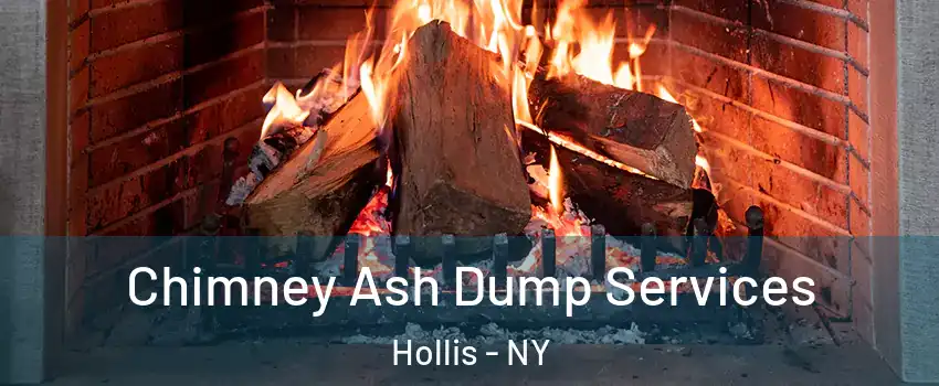 Chimney Ash Dump Services Hollis - NY