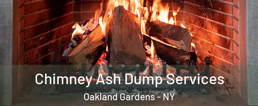 Chimney Ash Dump Services Oakland Gardens - NY