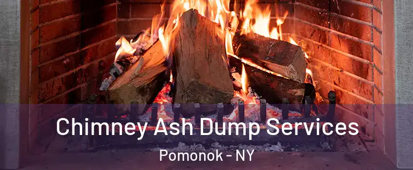 Chimney Ash Dump Services Pomonok - NY