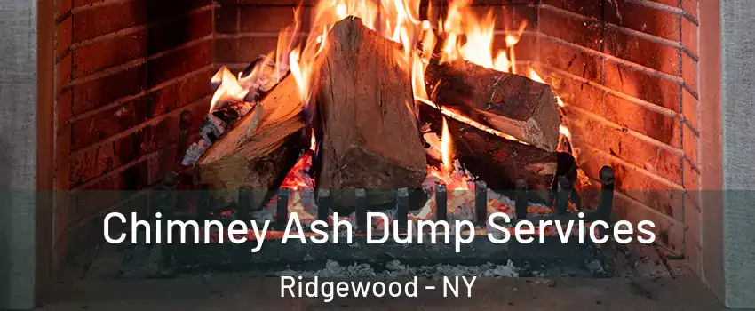 Chimney Ash Dump Services Ridgewood - NY