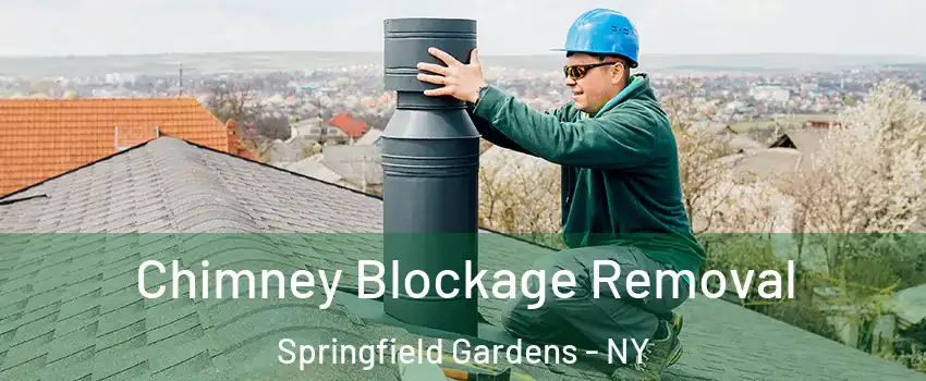 Chimney Blockage Removal Springfield Gardens - NY