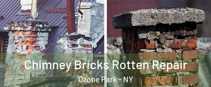 Chimney Bricks Rotten Repair Ozone Park - NY