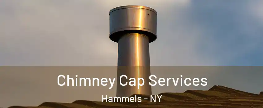 Chimney Cap Services Hammels - NY