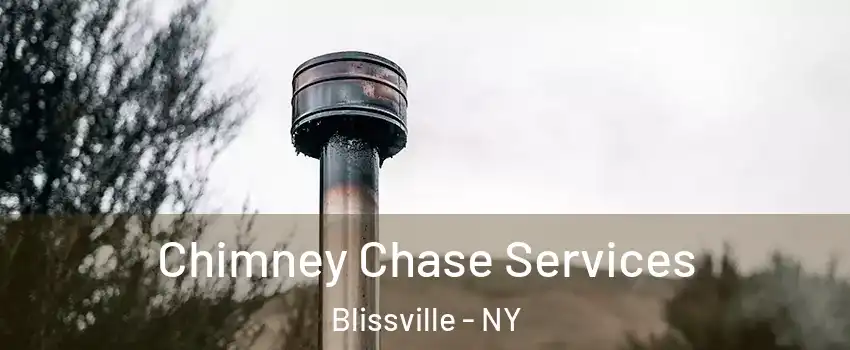 Chimney Chase Services Blissville - NY