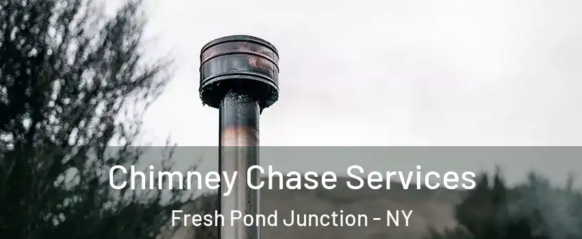 Chimney Chase Services Fresh Pond Junction - NY