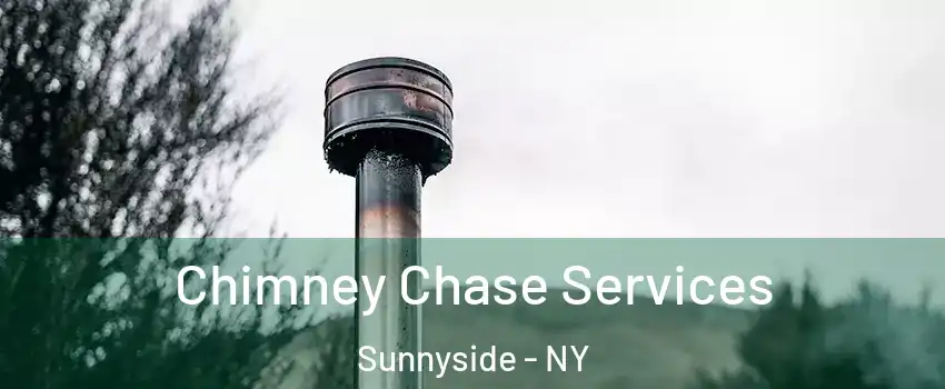 Chimney Chase Services Sunnyside - NY