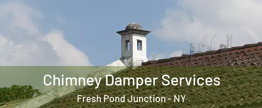 Chimney Damper Services Fresh Pond Junction - NY