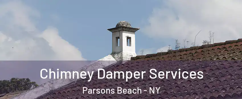 Chimney Damper Services Parsons Beach - NY