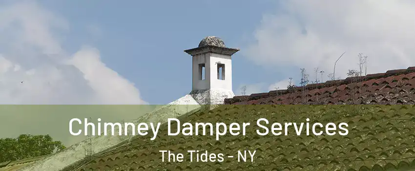 Chimney Damper Services The Tides - NY