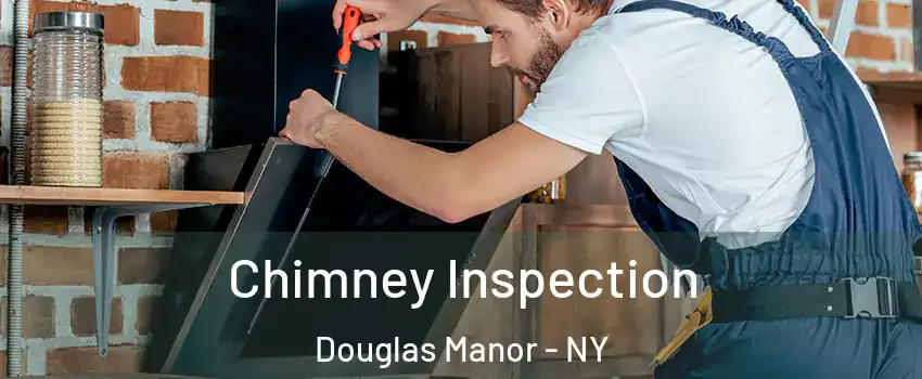 Chimney Inspection Douglas Manor - NY