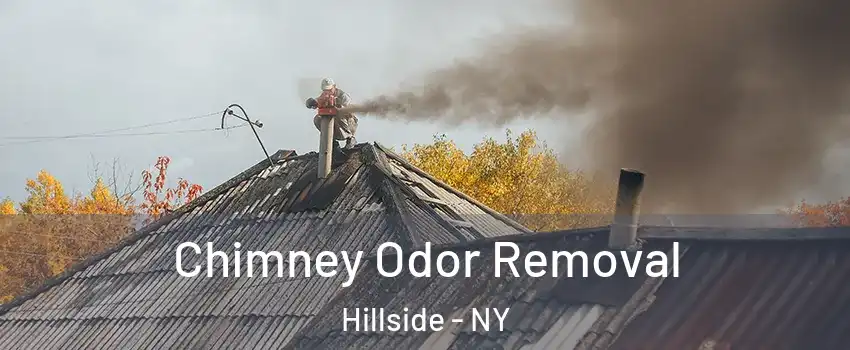 Chimney Odor Removal Hillside - NY