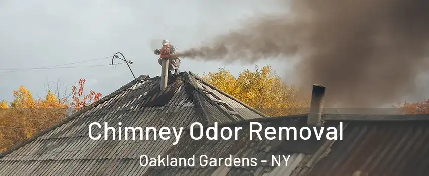 Chimney Odor Removal Oakland Gardens - NY