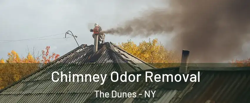 Chimney Odor Removal The Dunes - NY