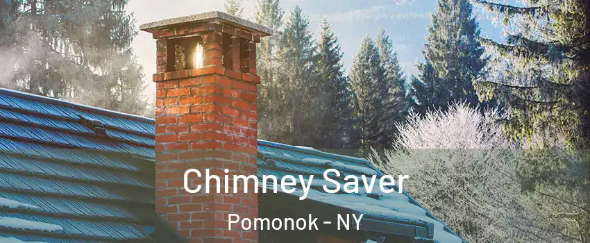 Chimney Saver Pomonok - NY