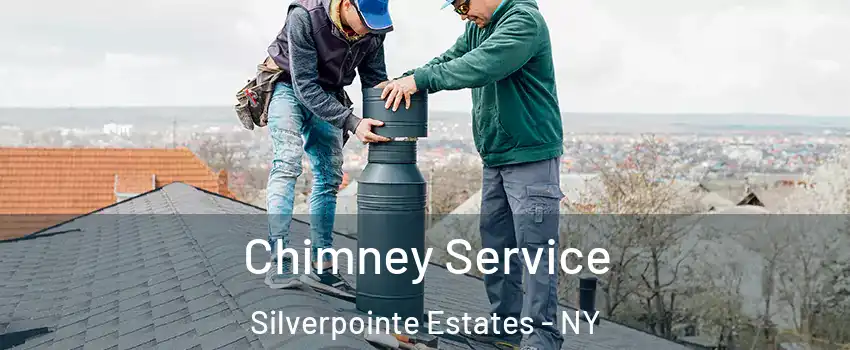 Chimney Service Silverpointe Estates - NY