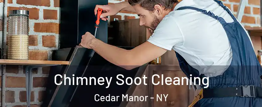 Chimney Soot Cleaning Cedar Manor - NY