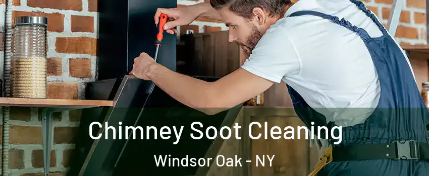 Chimney Soot Cleaning Windsor Oak - NY