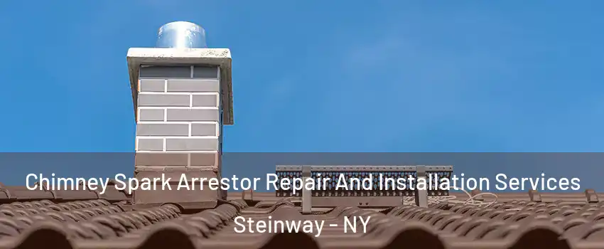 Chimney Spark Arrestor Repair And Installation Services Steinway - NY