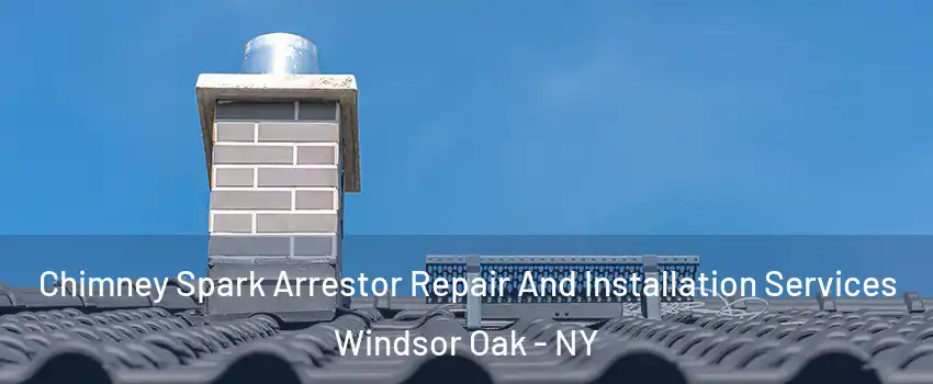 Chimney Spark Arrestor Repair And Installation Services Windsor Oak - NY