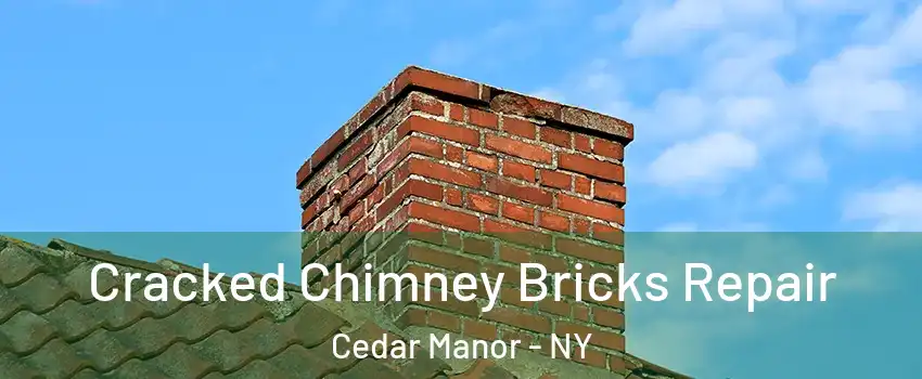 Cracked Chimney Bricks Repair Cedar Manor - NY