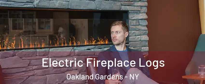 Electric Fireplace Logs Oakland Gardens - NY