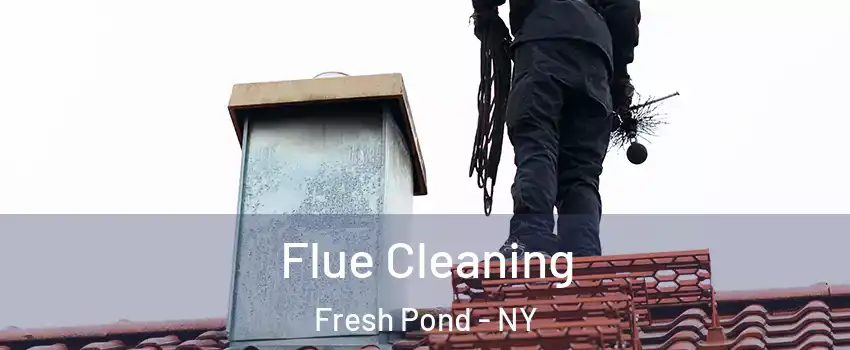 Flue Cleaning Fresh Pond - NY