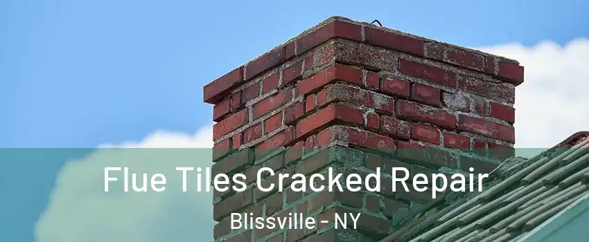 Flue Tiles Cracked Repair Blissville - NY