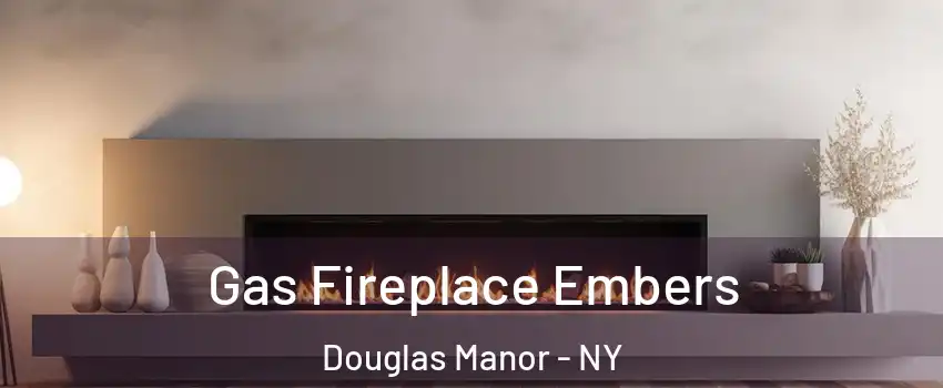 Gas Fireplace Embers Douglas Manor - NY