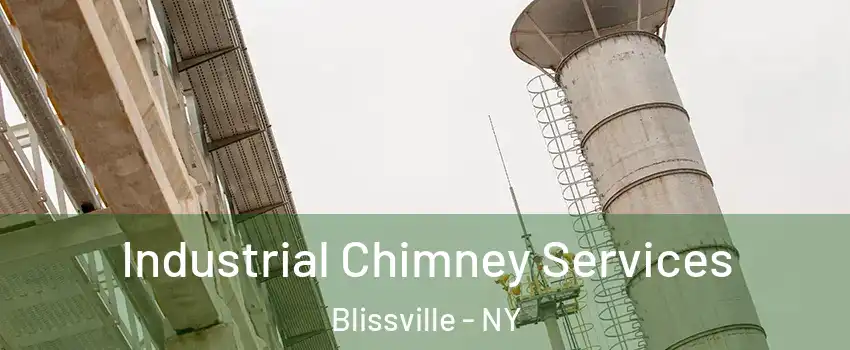 Industrial Chimney Services Blissville - NY