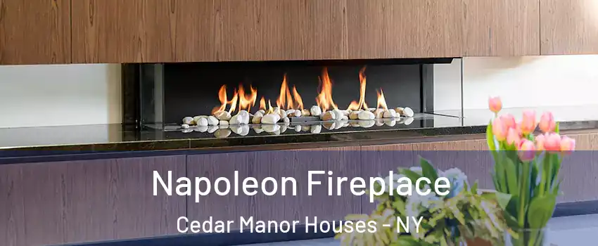 Napoleon Fireplace Cedar Manor Houses - NY