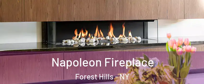 Napoleon Fireplace Forest Hills - NY