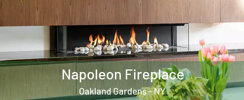 Napoleon Fireplace Oakland Gardens - NY