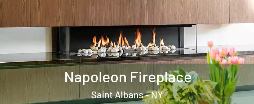 Napoleon Fireplace Saint Albans - NY