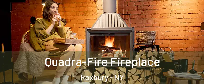 Quadra-Fire Fireplace Roxbury - NY